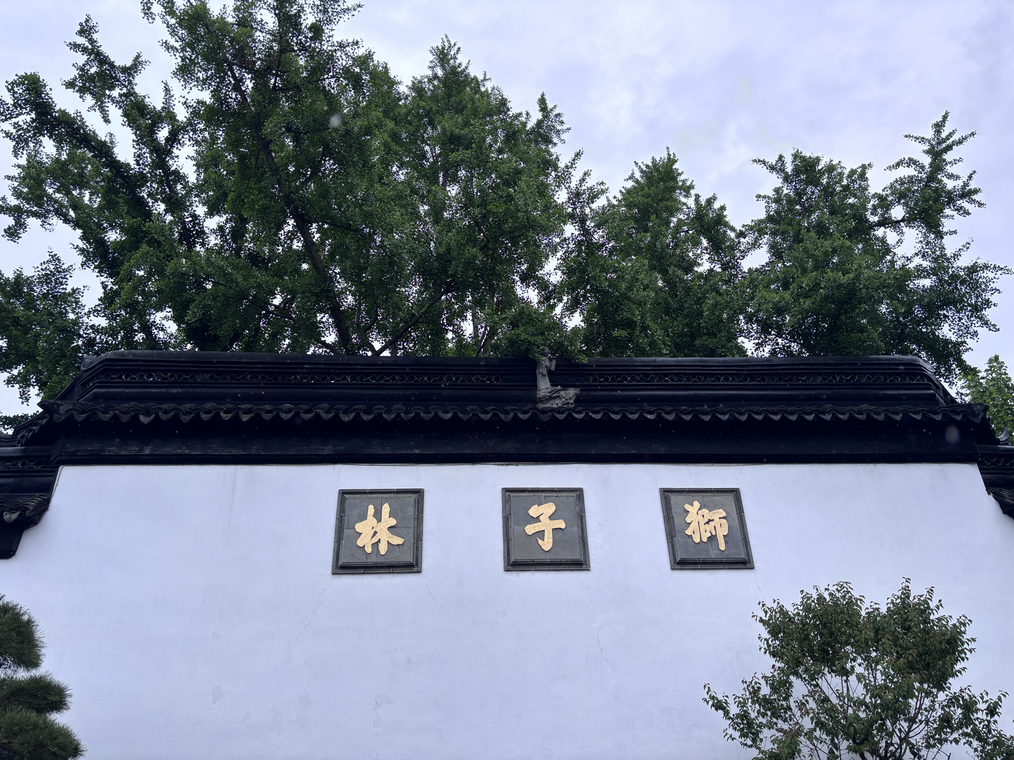 Lion Grove Garden