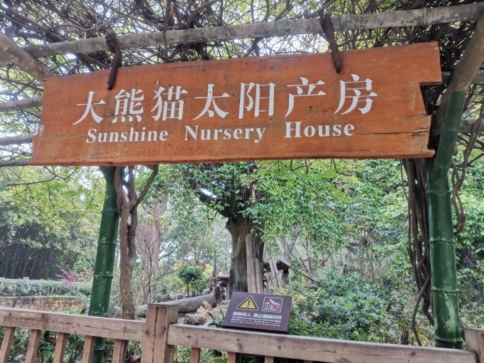 Giant Panda Sun Delivery Room