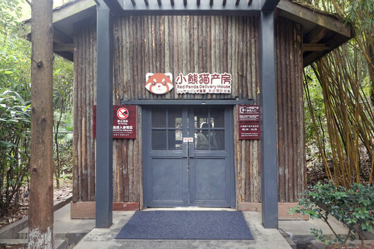 Red Panda Moon Delivery Room