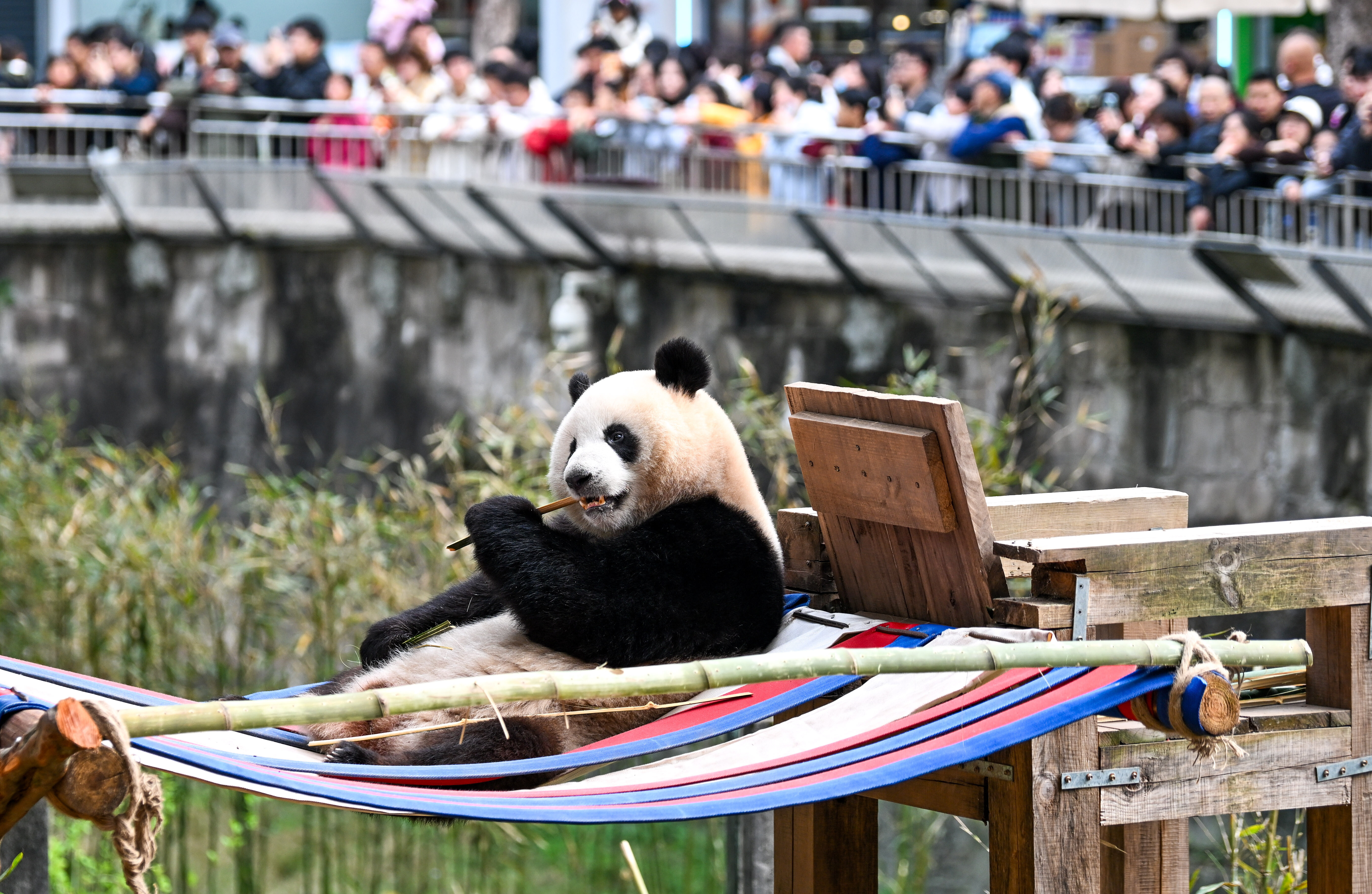 Panda Hall