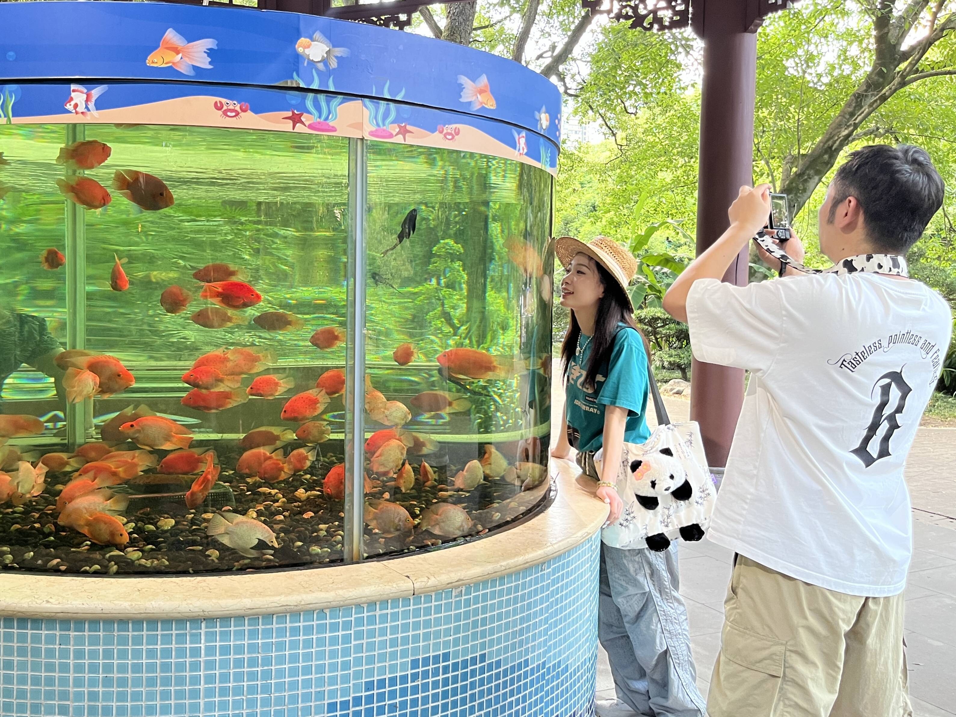 Goldfish Hall