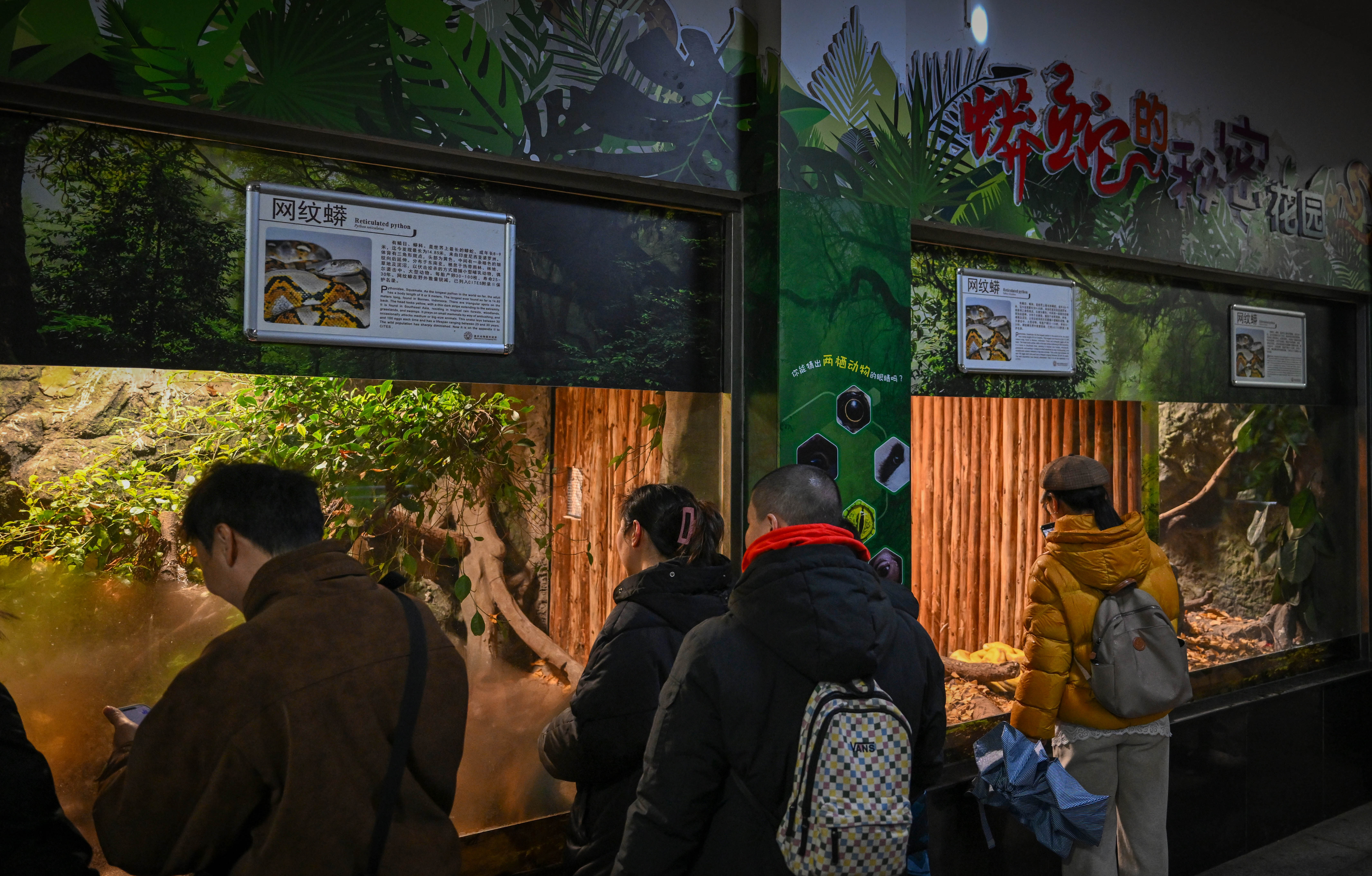 Amphibian and Reptile Hall