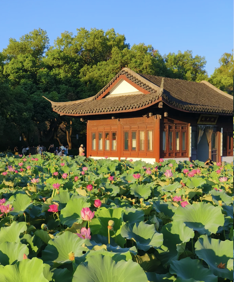 Quyuan Fenghe (Breeze-ruffled Lotus in Winy Courtyard)