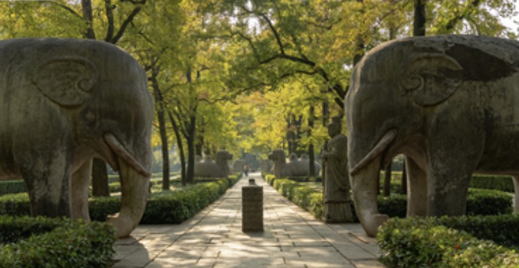 Shi Xiang Lu Sacred Way (Stone Elephant Road)