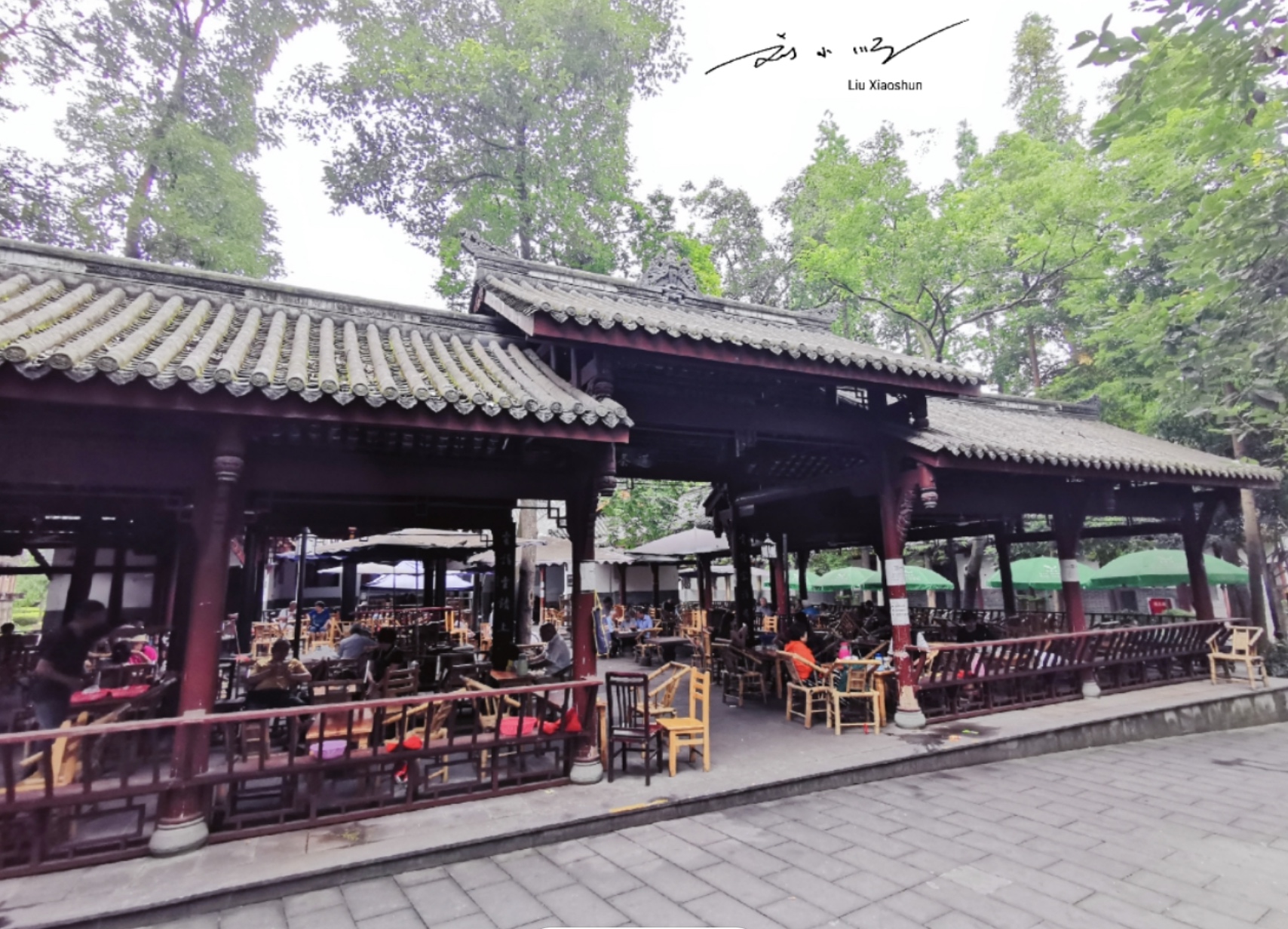 Tea Garden and Laozhuang Academy (Lao-Zhuang Academy)