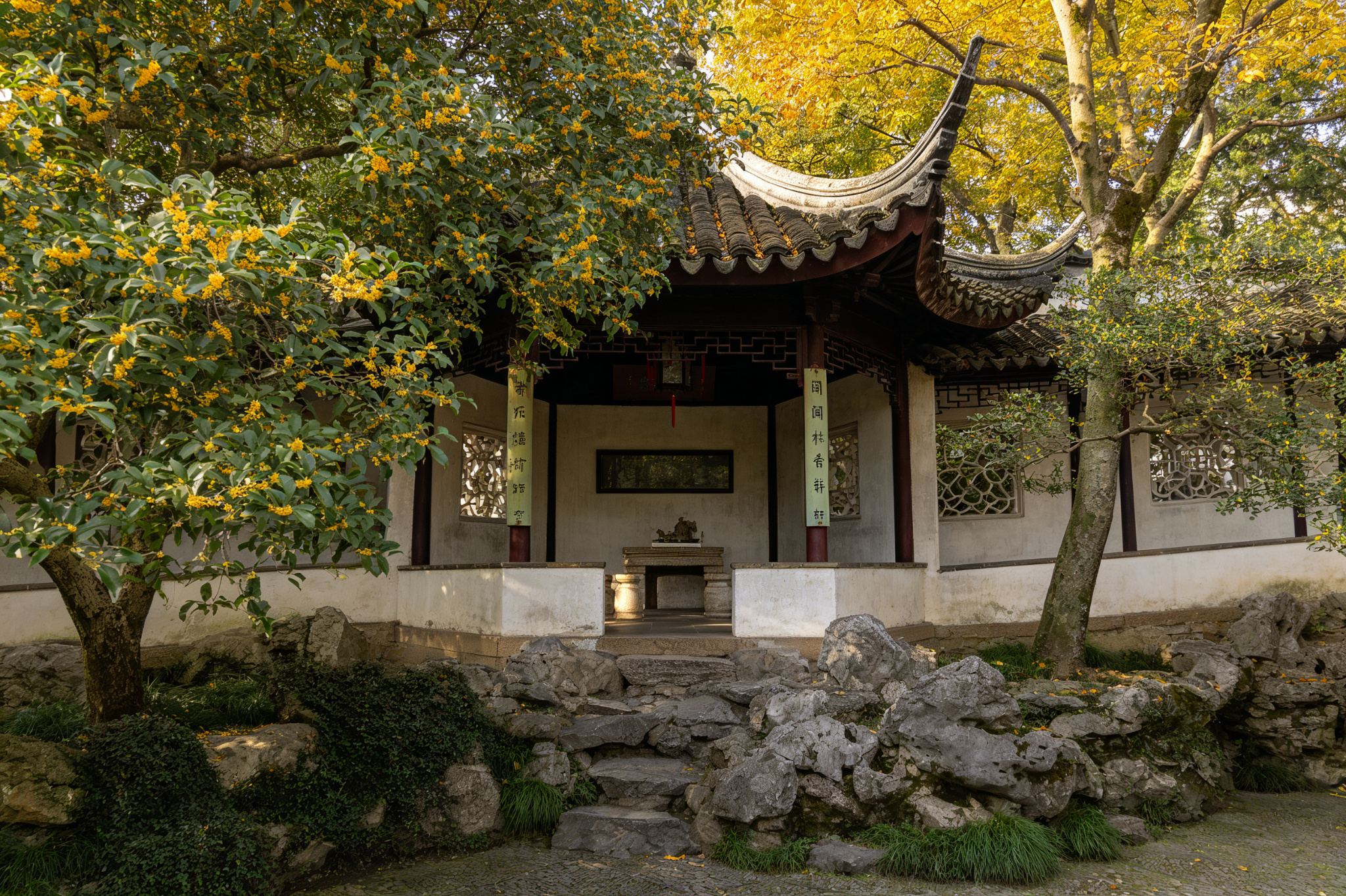 Osmanthus Fragrance Pavilion