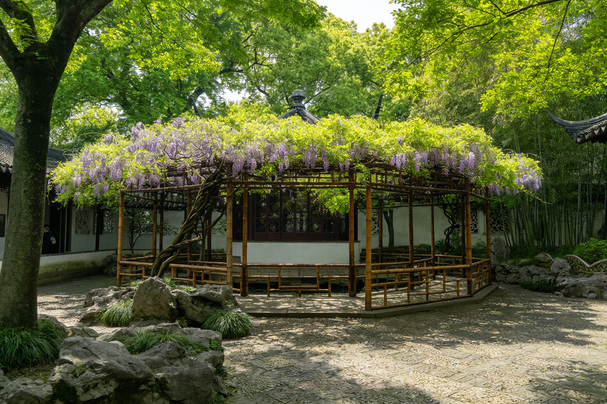 Wisteria Garden