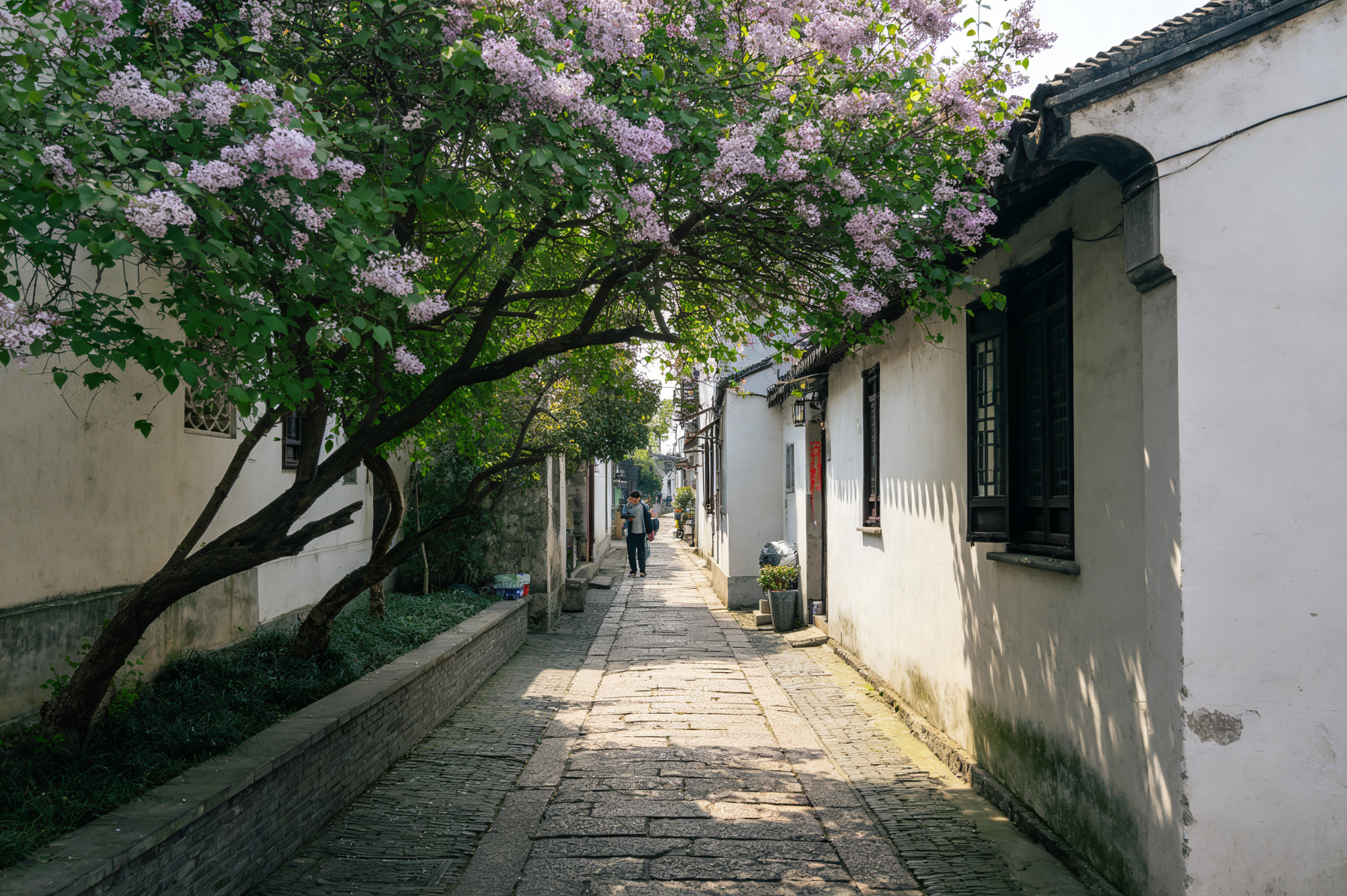 Dingxiang Lane (Lilac Lane)